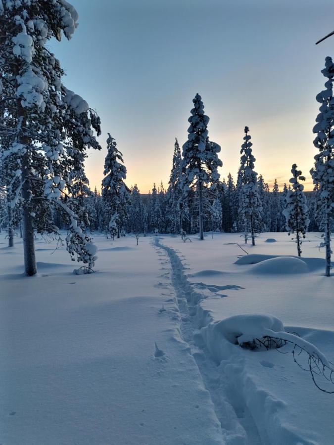Villanorva Saarenkylä 外观 照片
