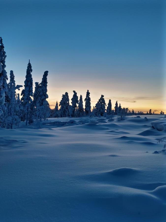Villanorva Saarenkylä 外观 照片